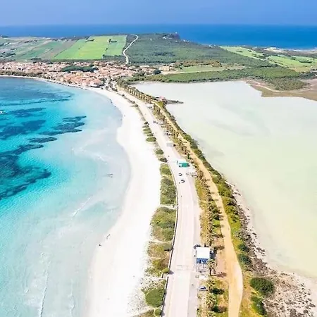 Mandriola-surf Paradise 2 House 50m From The Sea *